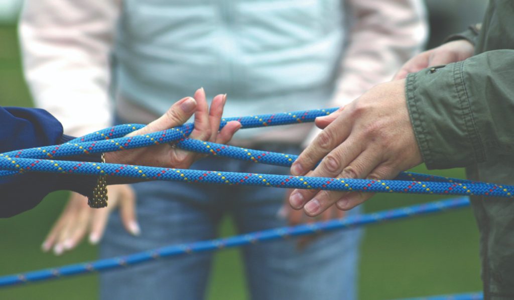 Colaborare și interactivitate